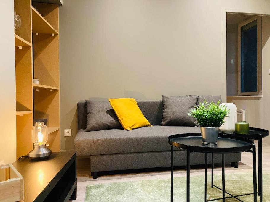 וינה Vienne: Appartement Au Coeur Du Centre Historique מראה חיצוני תמונה