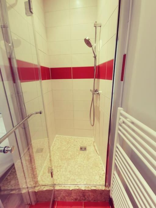 וינה Vienne: Appartement Au Coeur Du Centre Historique מראה חיצוני תמונה